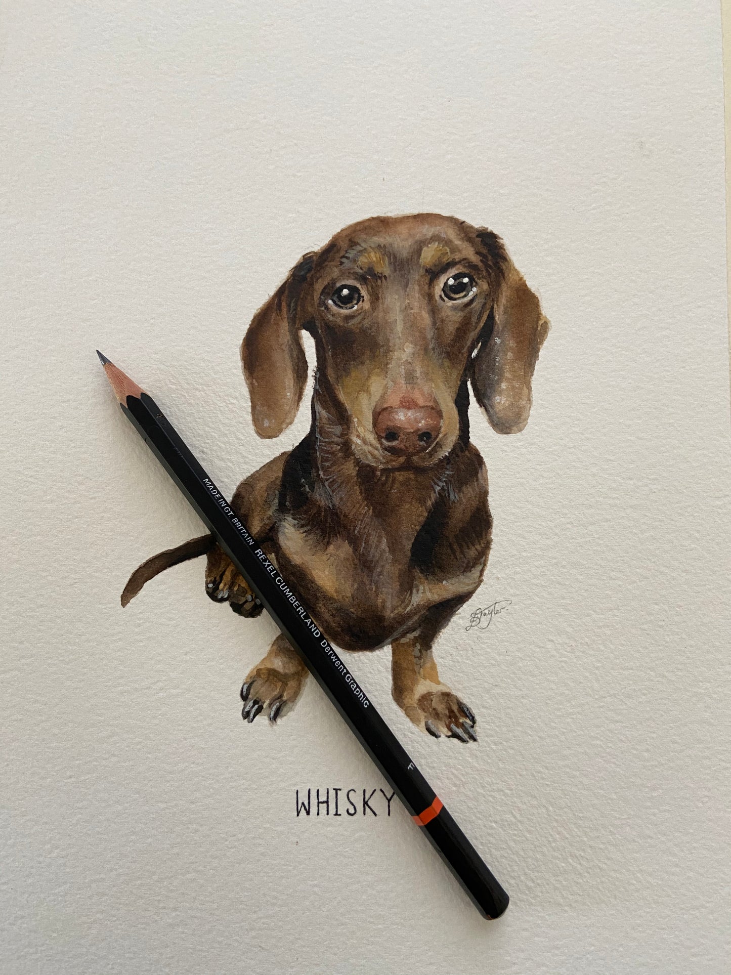 Custom Pawtrait Final Payment