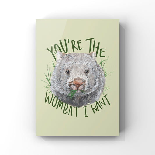 ‘You’re the wombat I want’